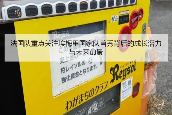 法国队重点关注埃梅里国家队首秀背后的成长潜力与未来前景